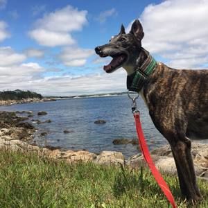 Meet your Posher, Angela